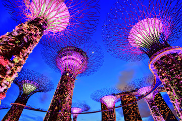 Obraz premium Gardens by the Bay at Dusk, Singapore