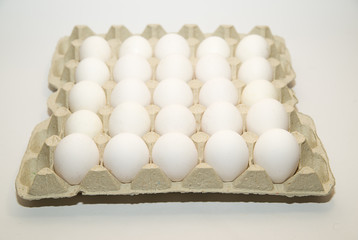 Chicken eggs in the package for sale on over white