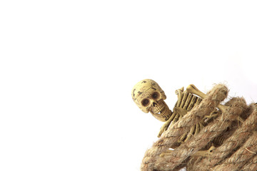 Stock Photo:.Still life with Human skeleton with rope on white