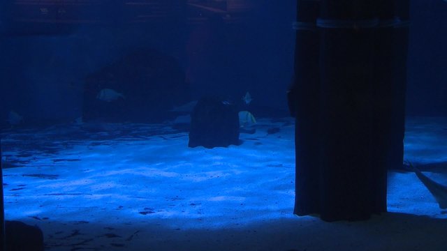 Mystic Aquarium Exhibits
