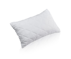 pillow with white protective mite pillow case