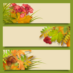 Autumn Vector Fall Leaves Banners