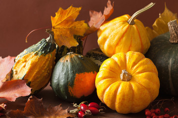 decorative pumpkins and autumn leaves for halloween