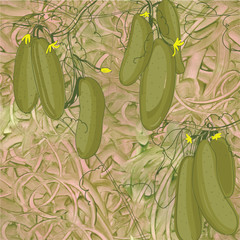 Materiał do szycia Illustration of seamless pattern cucumbers