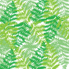 Fototapety  Ilustracja wzór z zielonymi liśćmi brzozy.