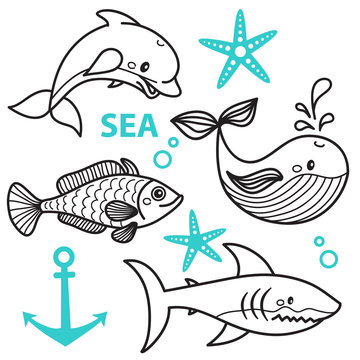 vector hand draw cattoon whale, fish, dolphin, star and shark. Vector illustration