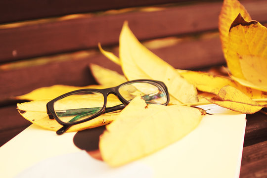 glasses with a magazine on a bench in autumn park
