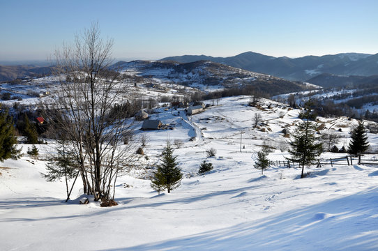 Winter rural scene
