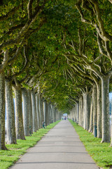 Esplanade au bord du lac du Bourget à Aix les Bains
