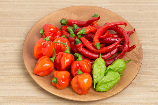 81 Best ブートジョロキア Images Stock Photos Vectors Adobe Stock