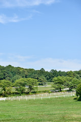 Obraz premium landscape of horse ranch