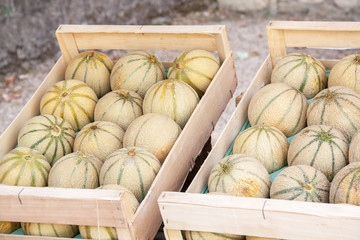 Melons en cageots destinés à la vente