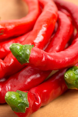 生のトウガラシ
