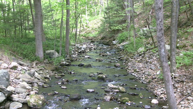 Rock-filled stream