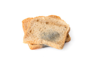 black mold on a bread