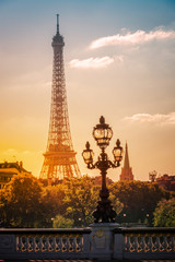 Fototapeta na wymiar Street lantern on the Alexandre III Bridge against the Eiffel Tower in Paris, France