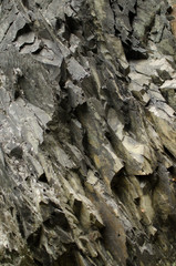 Rock texture