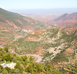 dades valley in atlas moroco africa ground tree  and nobody