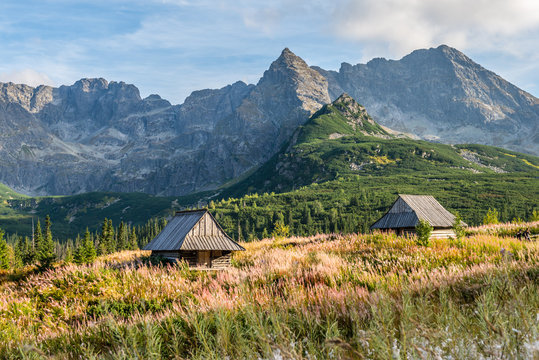Fototapeta Polish Tatra mountains Hala Gąsienicowa