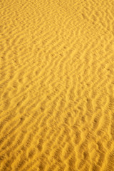 the brown sand dune in