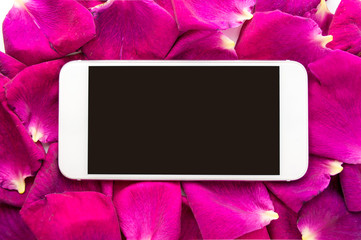 smartphone on floral framework