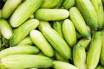 cucumbers