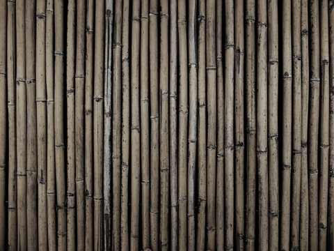 Bamboo Wall Grunge and Dark Background 