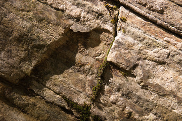 stone texture