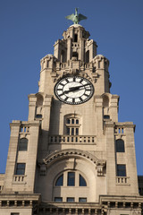 Fototapeta na wymiar Royal Liver Building, Liverpool, England