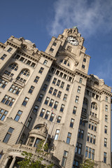 Fototapeta na wymiar Royal Liver Building, Liverpool