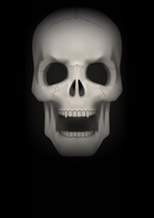 Dark Background of Human skull with open mouth.