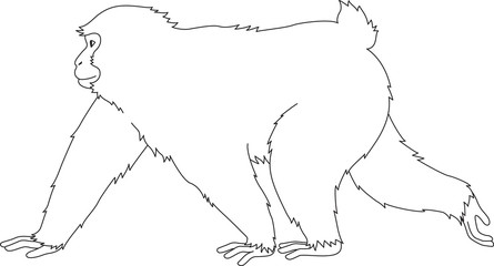 歩く猿　モノクロ　白 © す～ロン