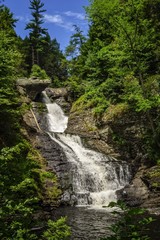 Fototapeta na wymiar Raymondskill Falls