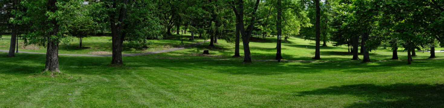 Park Panoramic