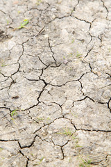 brown dry sand in sahara desert morocco africa erosion and abstr