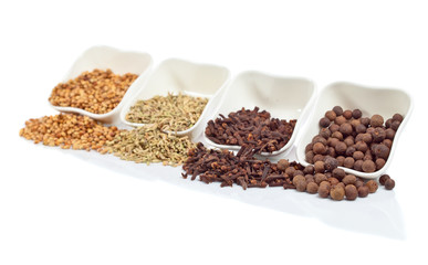 spices on white background