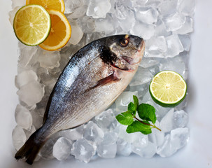Fresh fish is in a container with ice