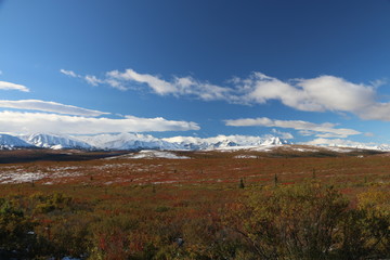 Denali Nationalpark