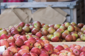 Rote Äpfel in der Holzkiste zum verkauf angeboten