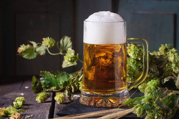 Mug of lager beer