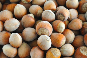Hazelnuts