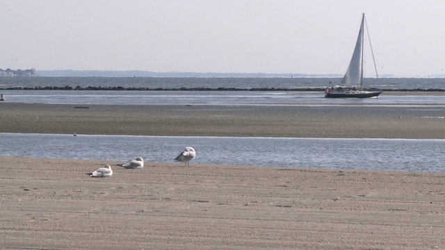 Sailboat heading out in the water 