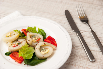 Squid roll with cheese and vegetables on the ceramic plate horizontal