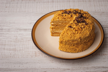 Honey cake  with chocolate chips on the ceramic plate horizontal