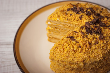 Honey cake  with chocolate chips on the ceramic plate close - up