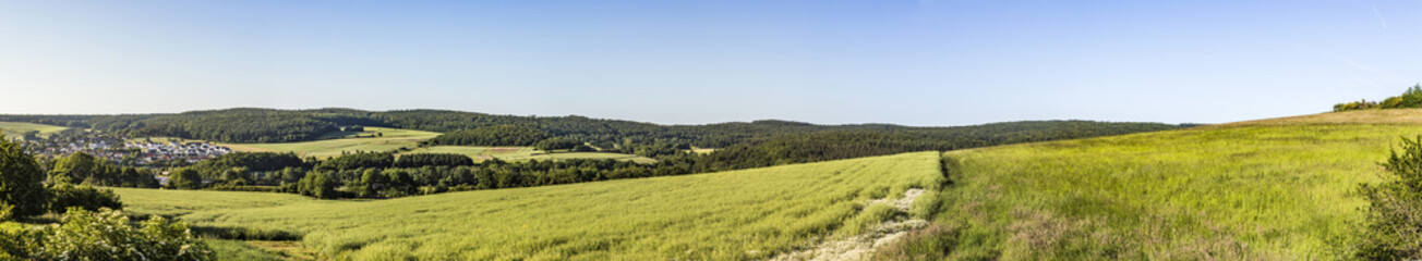Obraz premium rural landscape with forest and green fields