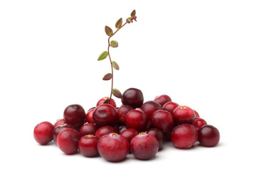 Ripe cranberries with leaves