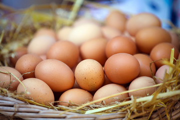 Baskets of Eggs