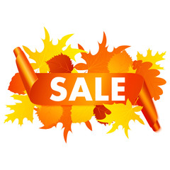 Autumn sale banner isolated on white background. 