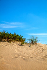 Песчаные дюны на берегу Черного моря